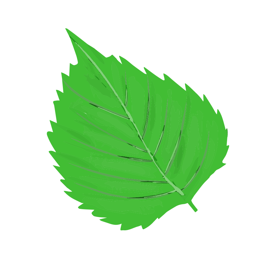 Vegetable illustration-Free hand-painted cute