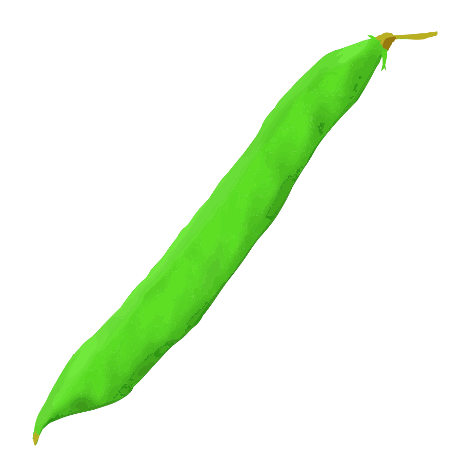 Vegetable illustration-Free hand-painted cute