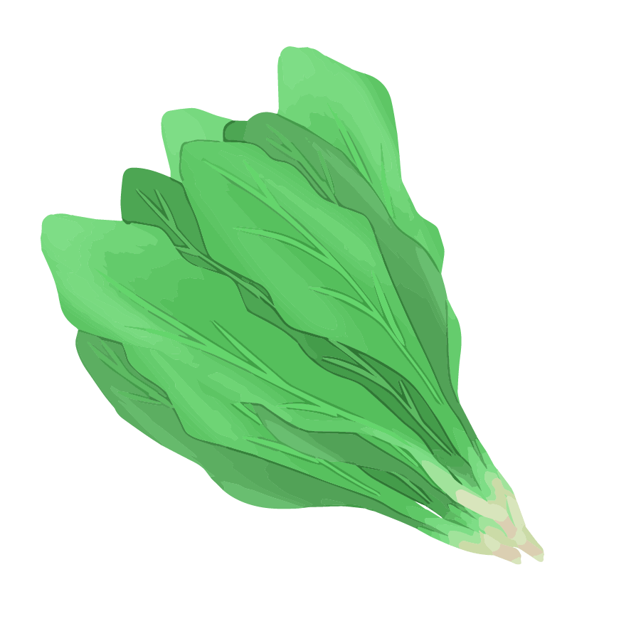 Vegetable illustration-Free hand-painted cute