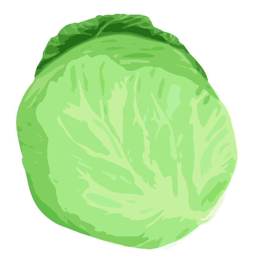 Vegetable illustration-Free hand-painted cute