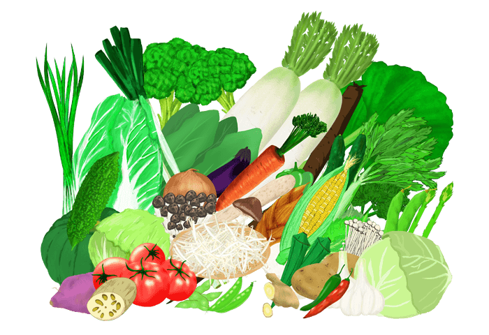 Vegetable illustration-Free hand-painted cute