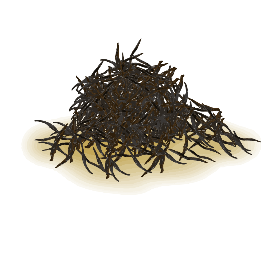 Vegetable illustration-Free hand-painted cute