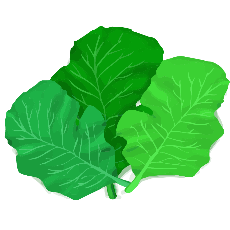 Vegetable illustration-Free hand-painted cute