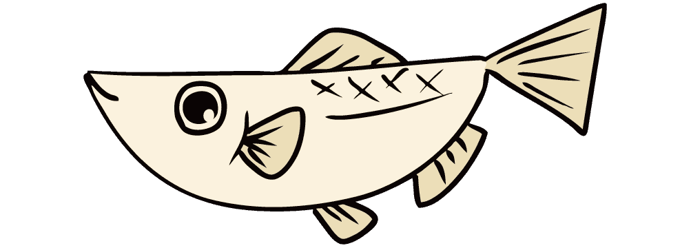 Cute killifish-Aquarium and aquatic plant pretending to be fish