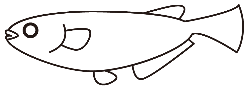 Cute killifish-Aquarium and aquatic plant pretending to be fish