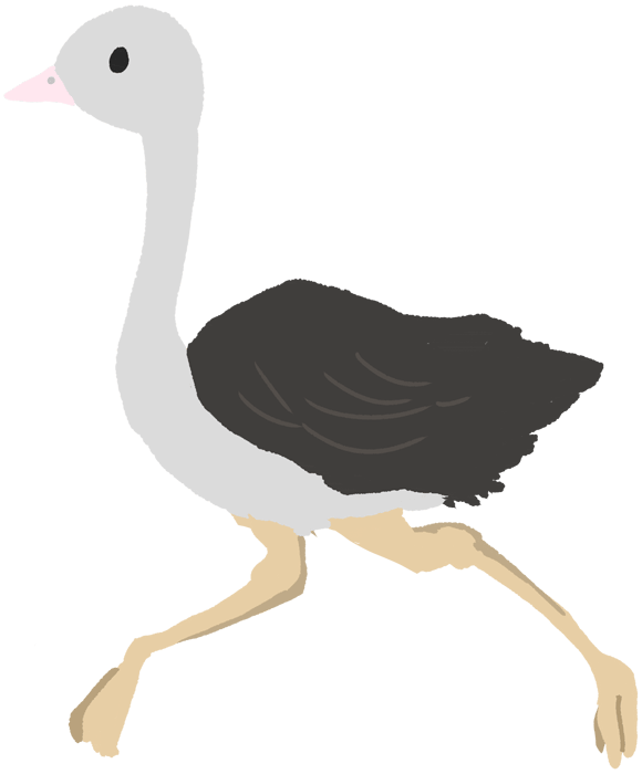 Ostrich-Cute chicks and egg birds