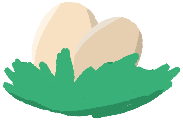 Ostrich-Cute chicks and egg birds