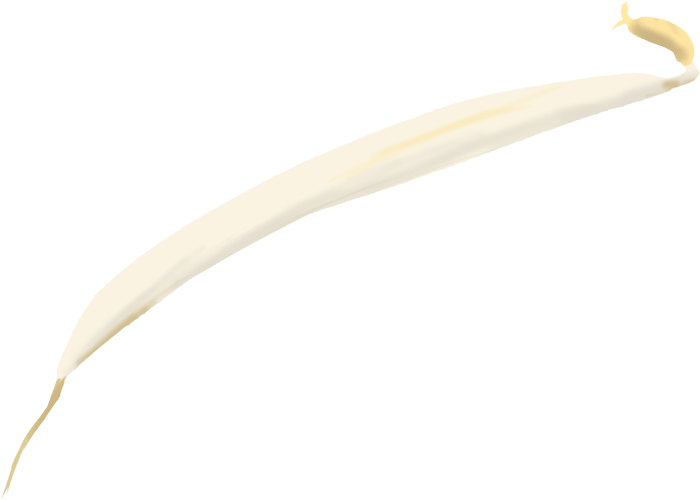 Bean sprouts illustration-Fresh and standard vegetables at the table