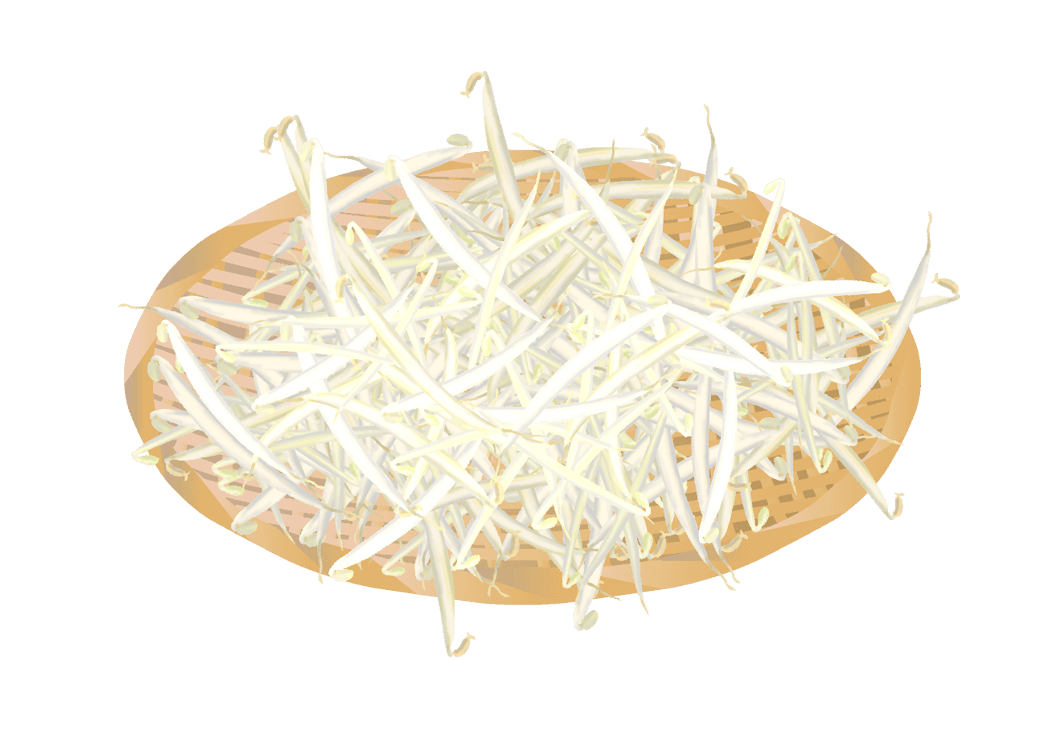Bean sprouts illustration-Fresh and standard vegetables at the table