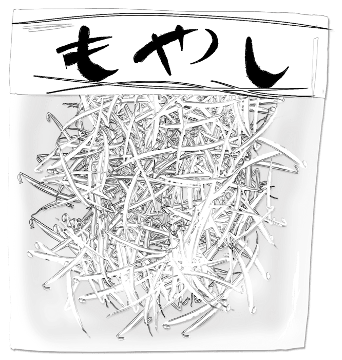 Bean sprouts illustration-Fresh and standard vegetables at the table