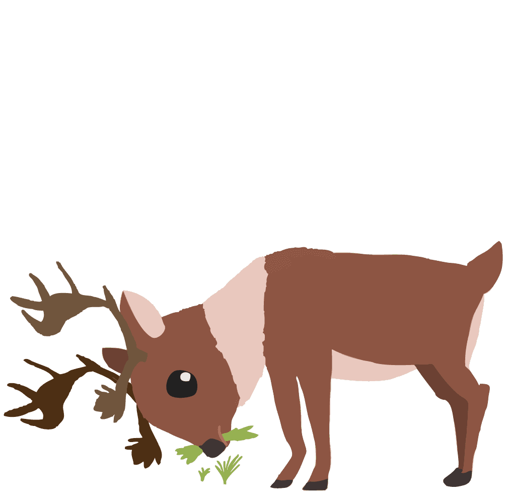 Cute Reindeer-Winter and Event Animals