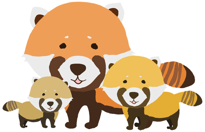 Cute red panda-Funny animal material