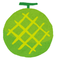 Melon (fruit)