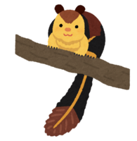 Indian giant squirrel