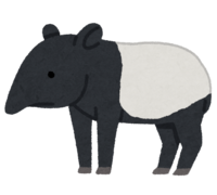Malayan tapir