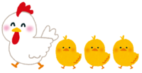 March of chickens and chicks
