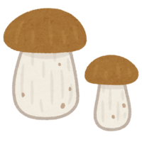 Porcini (mushroom)