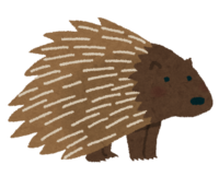 Porcupine
