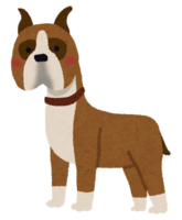 ボクサー(犬)