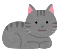 Catloaf sitting (Sabatra)