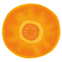 Cross section of carrot