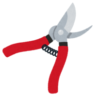 Pruning scissors