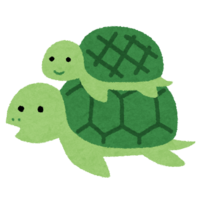 Tortoise parent and child