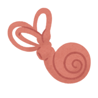 Inner ear
