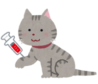 Pet blood sampling (cat)