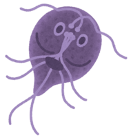 Giardia lamblia