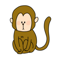 Monkey