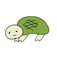 Turtle
