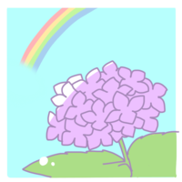 紫陽花と虹