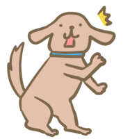 びっくりする犬