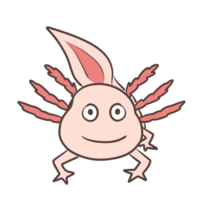 Axolotl