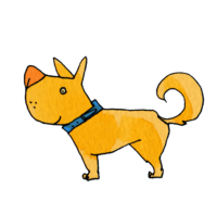 Mongrel dog