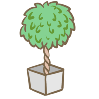 Ornamental plants (4)