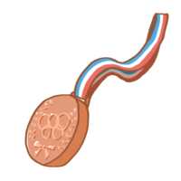Bronze medal