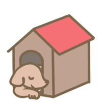 kennel and dog