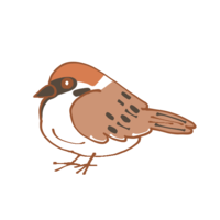 すずめ