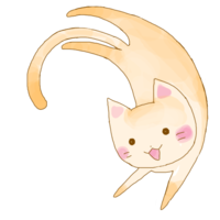Genki cat