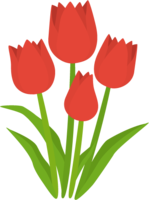 Tulip material