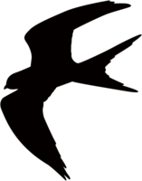 Swallow silhouette
