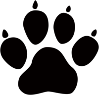 Animal footsteps