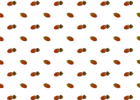 Acorn pattern wallpaper
