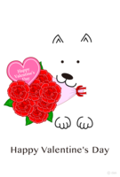 Bouquet of roses and Valentine of white dog