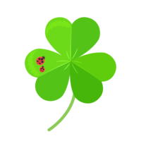 てんとう虫と三つ葉のクローバー