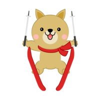 Cute dog ski jumping