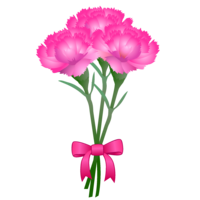 3本のピンク色カーネーション