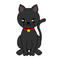 Cute black cat with a bell